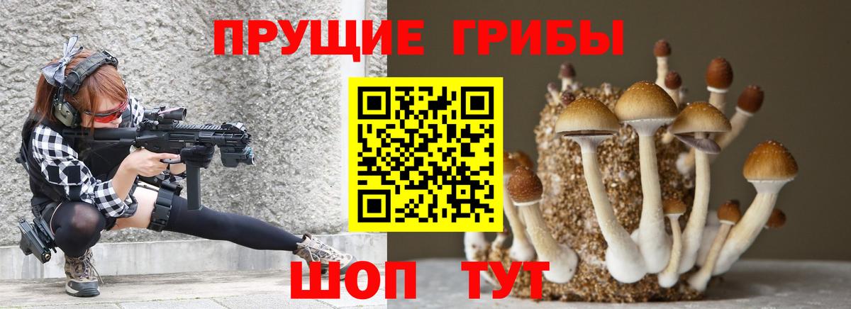 Галлюциногенные грибы GOLDEN TEACHER Гай